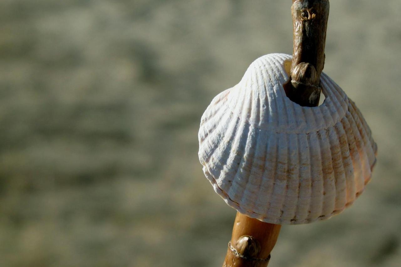 Haus Am Meer Scharbeutz Bagian luar foto